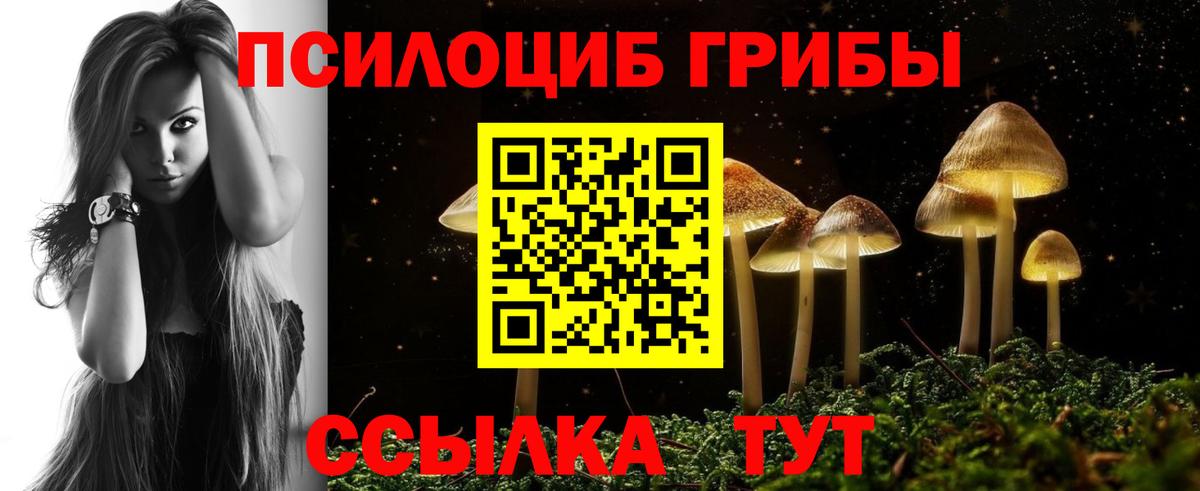 Псилоцибиновые грибы MAGIC MUSHROOMS  Псилоцибиновые грибы Magic Shrooms  Чернушка  Вход с VPN 