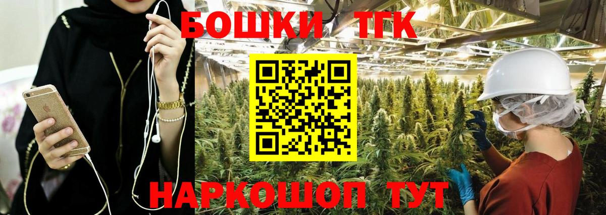 Каннабис сатива Чернушка